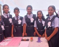 Science Fest – Healthy and Sustainable today’s development