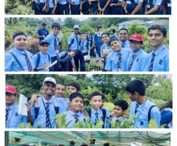 Field visit