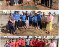 🔹Fort Making Activity 🔹