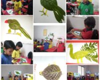 EVS Activity