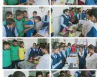 Activity