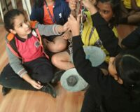 Maths Activity