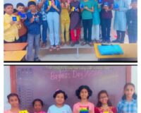 Popsicle sticks Activity