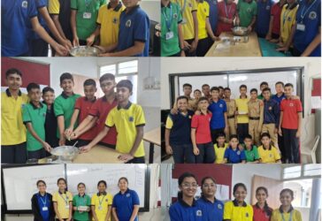 Cake Making Activity