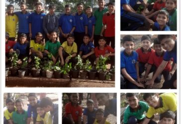 Plantation in School