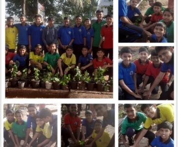 Plantation in School