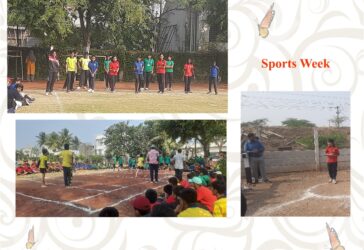 Sports Week