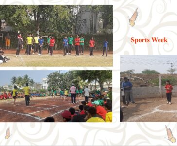 Sports Week