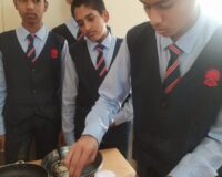 Food Production