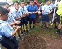 EVS Activity