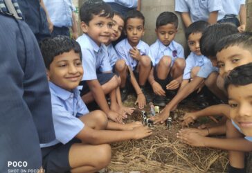 English – Importance of Farm and animals