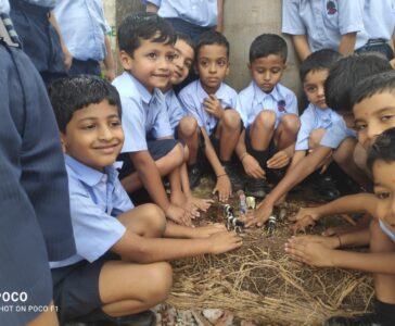 English – Importance of Farm and animals