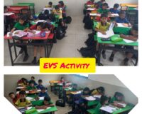 EVS Activity