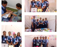 Skill expo